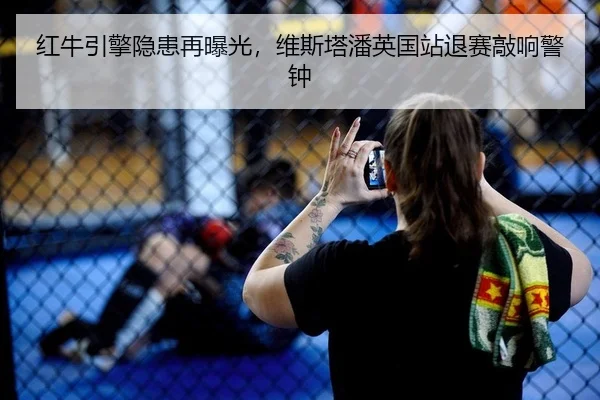 红牛引擎隐患再曝光，维斯塔潘英国站退赛敲响警钟
